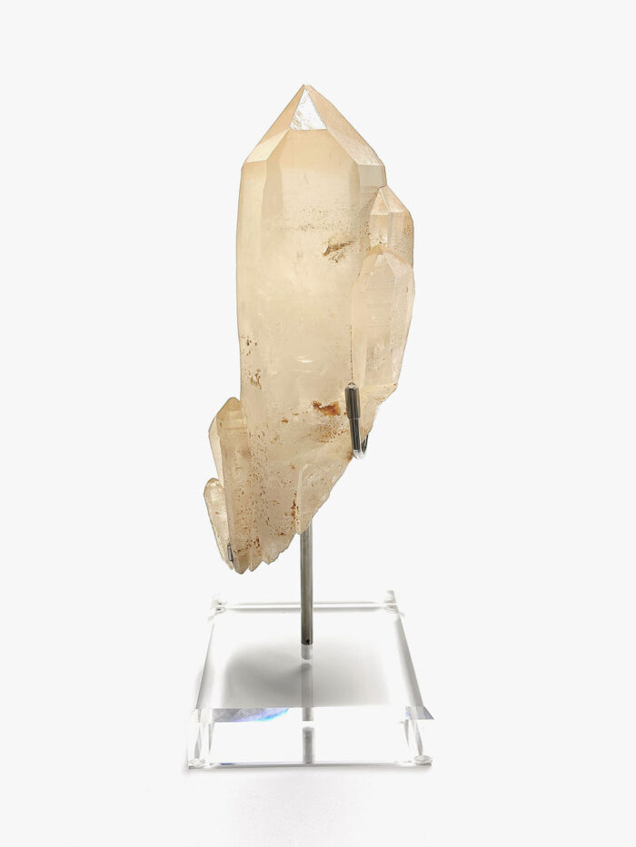 Eames plastic side chair - 画像 (1)